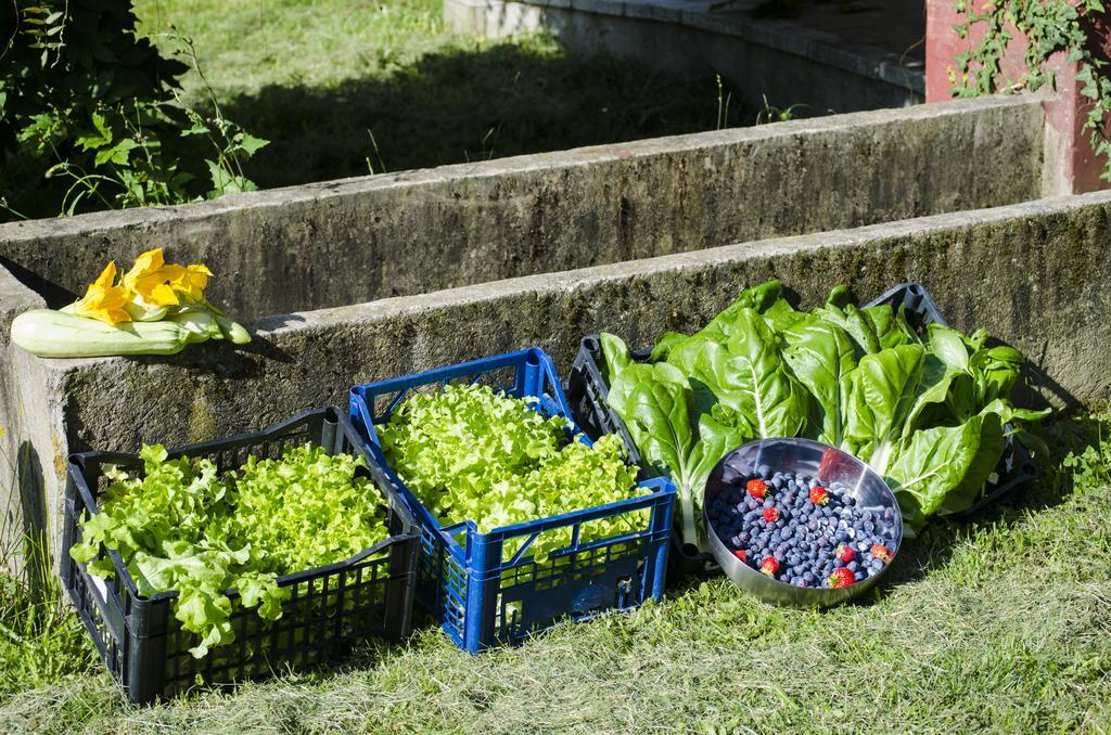 Cascina Foresto Bed & Breakfast Cossato Exterior photo